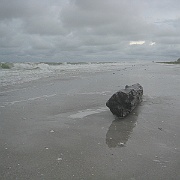 Picture 072